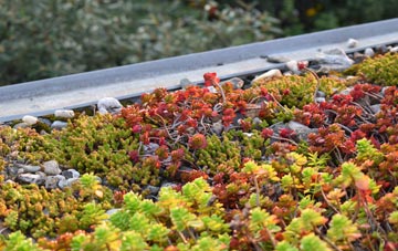 the cost of Struan green roof installation